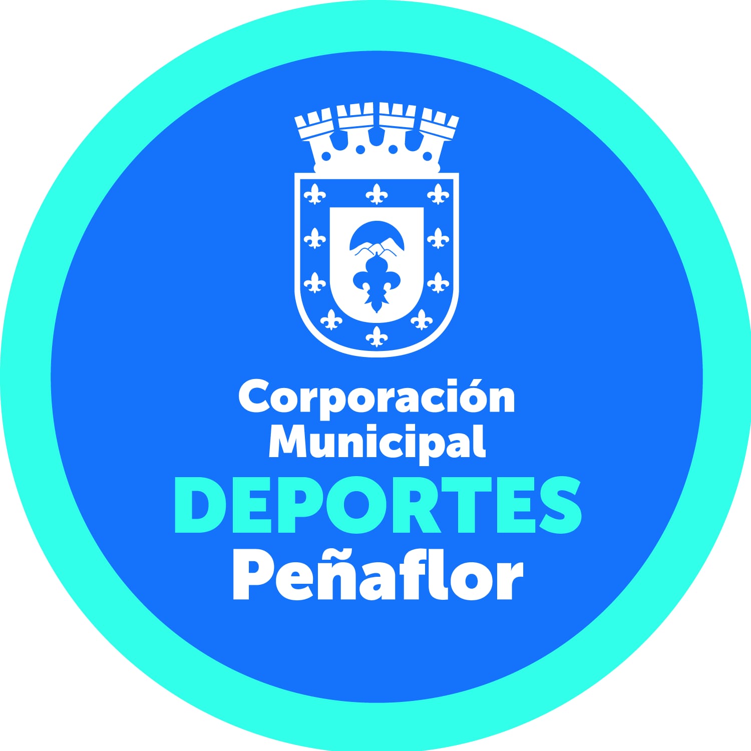 WhatsApp Image 2025-12-02 at 15.43.39